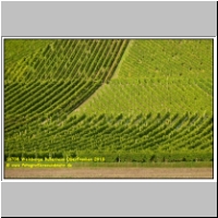 16708 Weinberge Bullenheim Oberfranken 2010.JPG